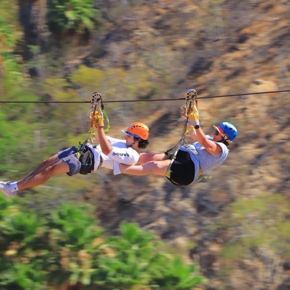 Meet your Posher, Rita - Picture 1 of 1